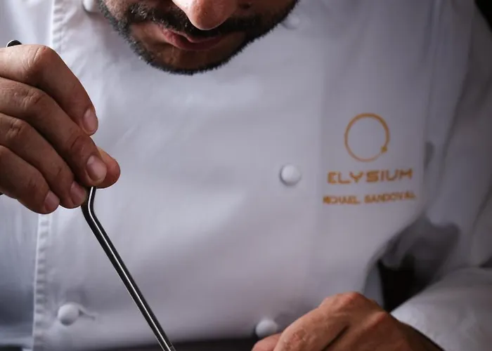 ホテル Elysium Luxury