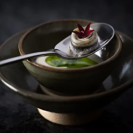 Elysium Luxury Melegis