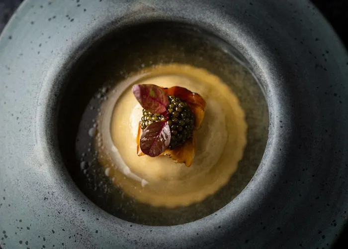 Elysium Luxury Melegis